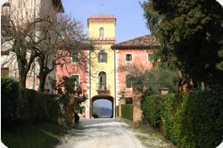 sima-scuola-ayurveda-corso-massaggio-ayurvedico-vacanza-ayurveda-yoga-cucina-ayurvedica