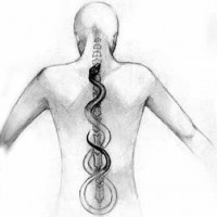 ayurveda chakra kundalini punti marma massaggio ayurvedico simona vignali