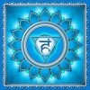 ayurveda chakra vishuddha massaggio ayurvedico simona vignali