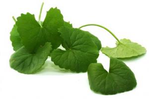 centella asiatica gotu kola rimedio ayurvedico simona vignali