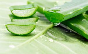 aloe vera rimedio ayurveda pelle acne simona vignali