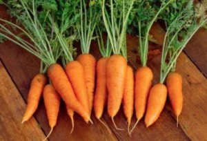 10 cibi ayurveda consigli alimentazione carote