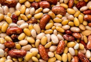 10 cibi ayurveda consigli alimentazione fagioli