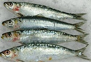 10 cibi ayurveda consigli alimentazione sardine