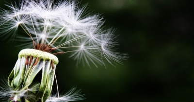 Allergy Day: 5 maggio con la Serie A